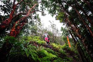 BIB: 
                            <button type="button" onclick="openModal(26201599)" class="btn btn-primary btn-sm float-right btn-popup" data-toggle="modal" data-target=".modal-high-quality">
                        <i class="fas fa-shopping-cart"></i> Add to Cart
                    </button>
                                            <button type="button" onclick="isThisMe(26201599, true)" class="btn btn-success btn-sm float-right btn-popup btn-isme hidden" data-toggle="tooltip" data-placement="bottom" title="นี่คือรูปของคุณใช่ไหม คลิกที่นี่เพื่อเอาเข้าอัลบั้ม">
                        <i class="fas fa-plus"></i> Add to album
                    </button>
                    <button type="button" onclick="isThisMe(26201599, false)" class="btn btn-warning btn-sm float-right btn-popup btn-isnotme hidden">
                        <i class="fas fa-ban"></i> Remove from album
                    </button>